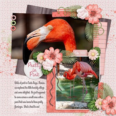 Flamingo Fabulous Digital Scrapbook Collection