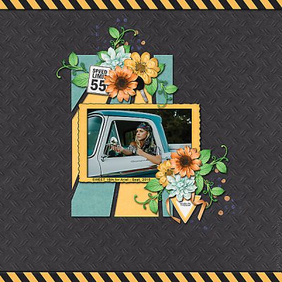 Newest Driver Digital Scrapbook Collection