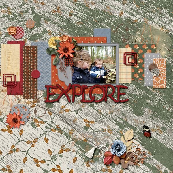 Snapshots Of November Digital Scrapbook Collection