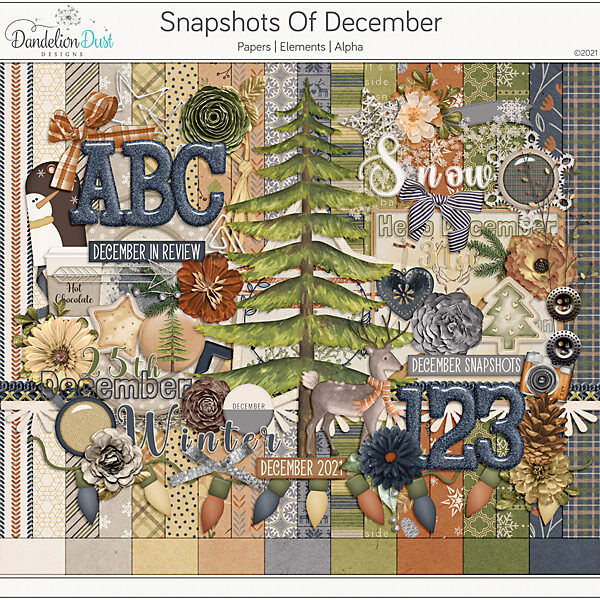 Snapshots Of December: Kit