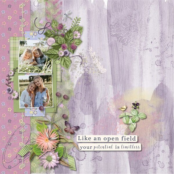Prairie Fields: Bundle