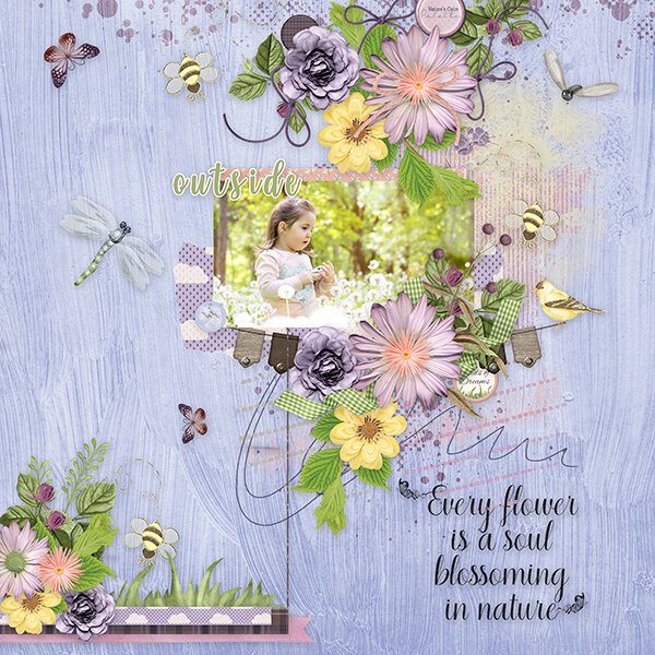 Prairie Fields: Bundle