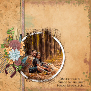 Meadow Sweet: Collection