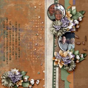 Cotton Fields: Collection