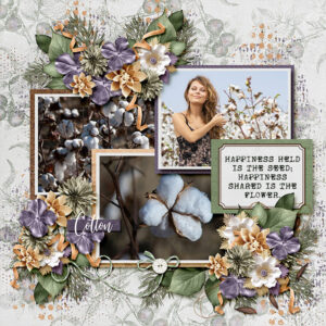 Cotton Fields: Collection