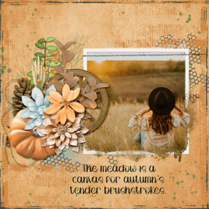 Meadow Sweet: Collection