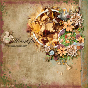 Meadow Sweet: Collection