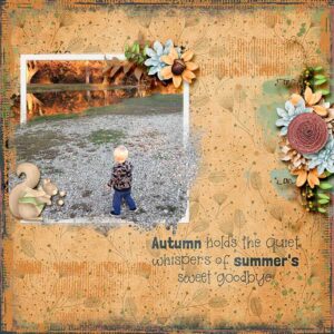 Meadow Sweet: Collection