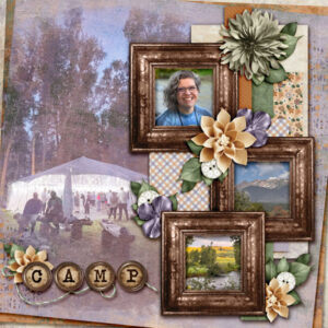 Cotton Fields: Collection
