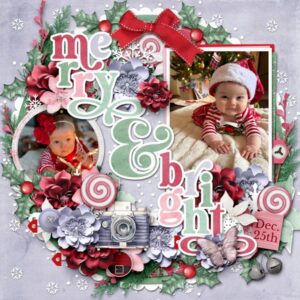 Holly Berry: Collection