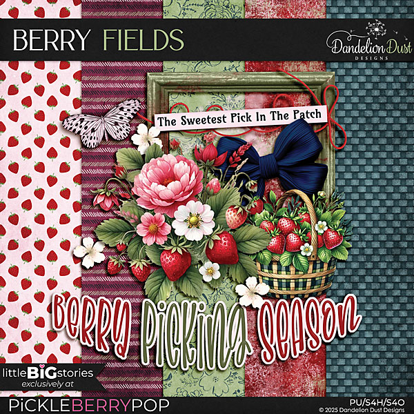 Berry Fields: littleBIGstories Pack